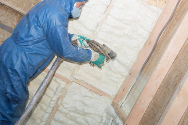 Best Eco-Friendly or Green Insulation Solutions  in Baytown, TX